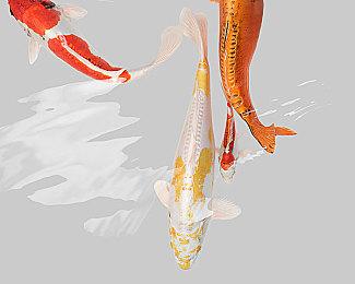 LOL衍生RPG《破败王者：英雄联盟传奇》现已上市